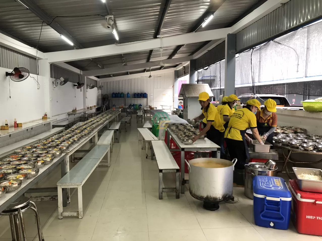 Tiêu chí lựa chọn thực phẩm sạch