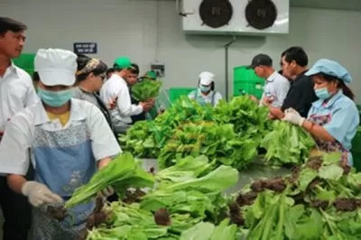 Giải pháp tiết kiệm nguyên vật liệu, giảm thiểu thực phẩm thừa trong dịch vụ suất ăn công nghiệp